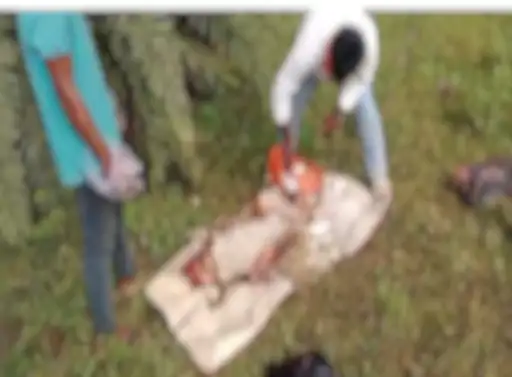 रायपुर में गौ मांस मिलने से मचा हड़कंप, विधानसभा थाना क्षेत्र में पुलिस ने बरामद किए अवशेष